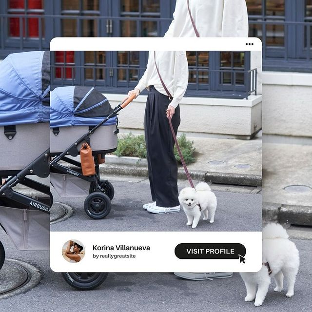 AIRBUGGY – AIRBUGGY for Pet